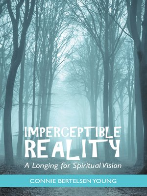 cover image of Imperceptible Reality